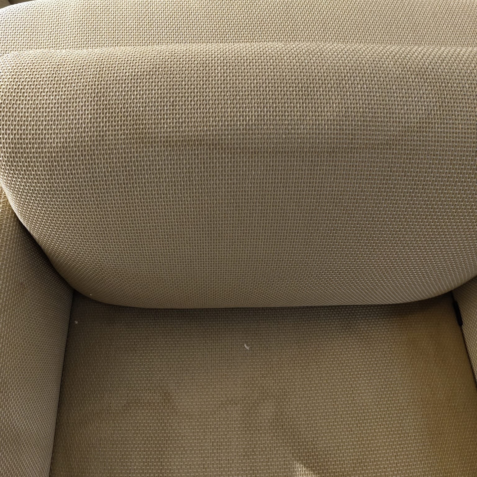 Display Item  - Vega Armchair BERVEG001YAS -  DISPLAY ITEM - ebarza Furniture UAE | Shop Modern Furniture in Abu Dhabi & Dubai - مفروشات ايبازرا في الامارات | تسوق اثاث عصري وديكورات مميزة في دبي وابوظبي