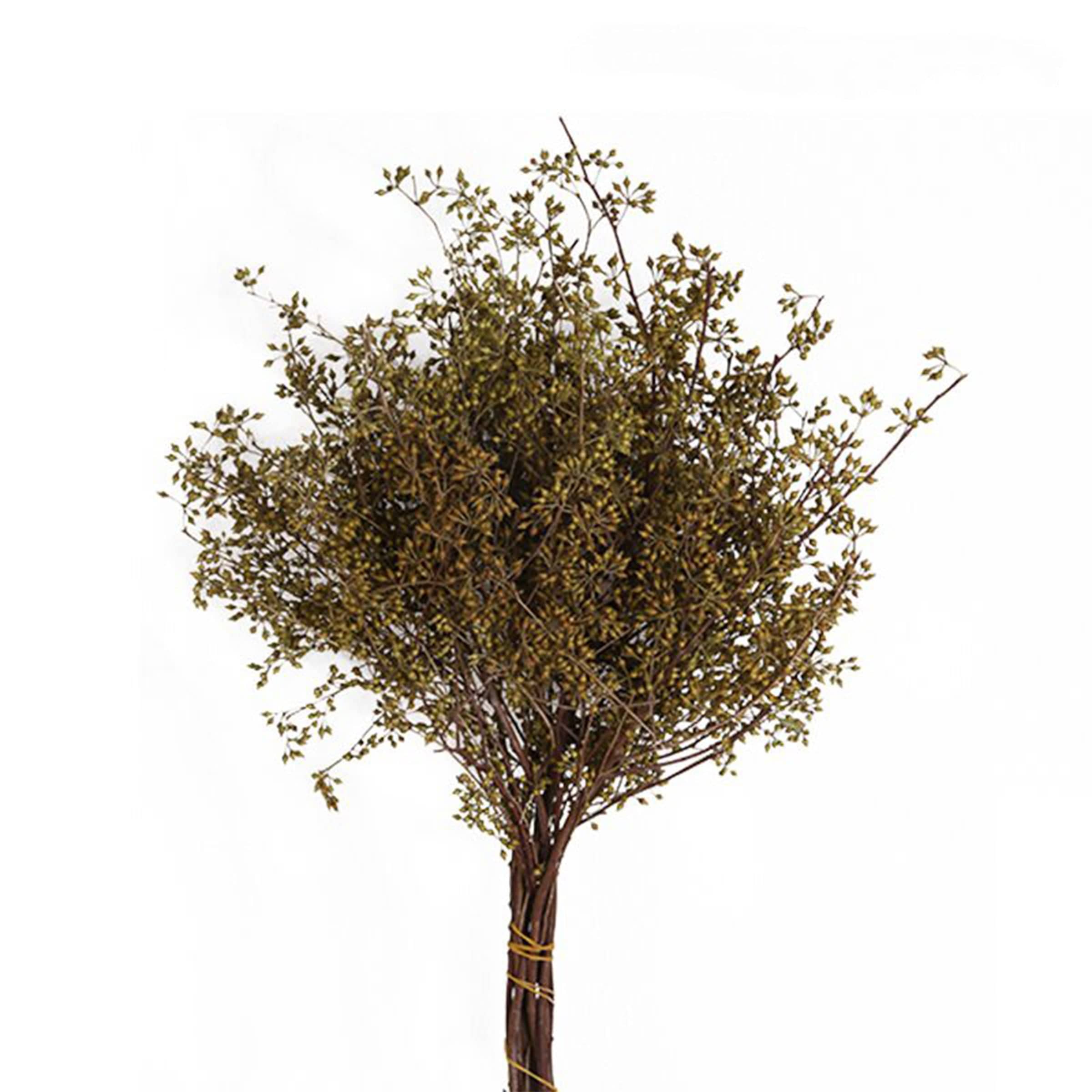 Buy Dried Flower FaJh2010M ebarza Modern Furniture in Abu Dhabi & Dubai