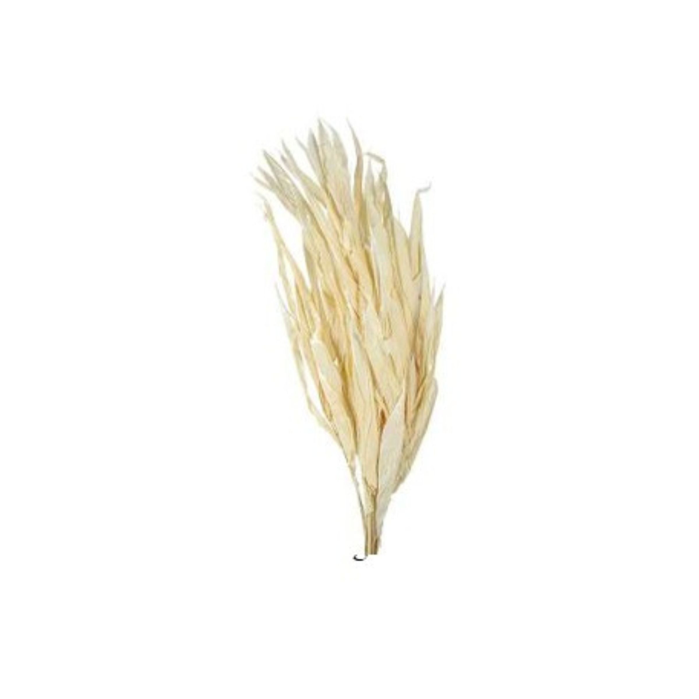 Dried flower plant FD-HJ2101E by BEACON, showcasing preserved blooms and natural textures for decorative use.