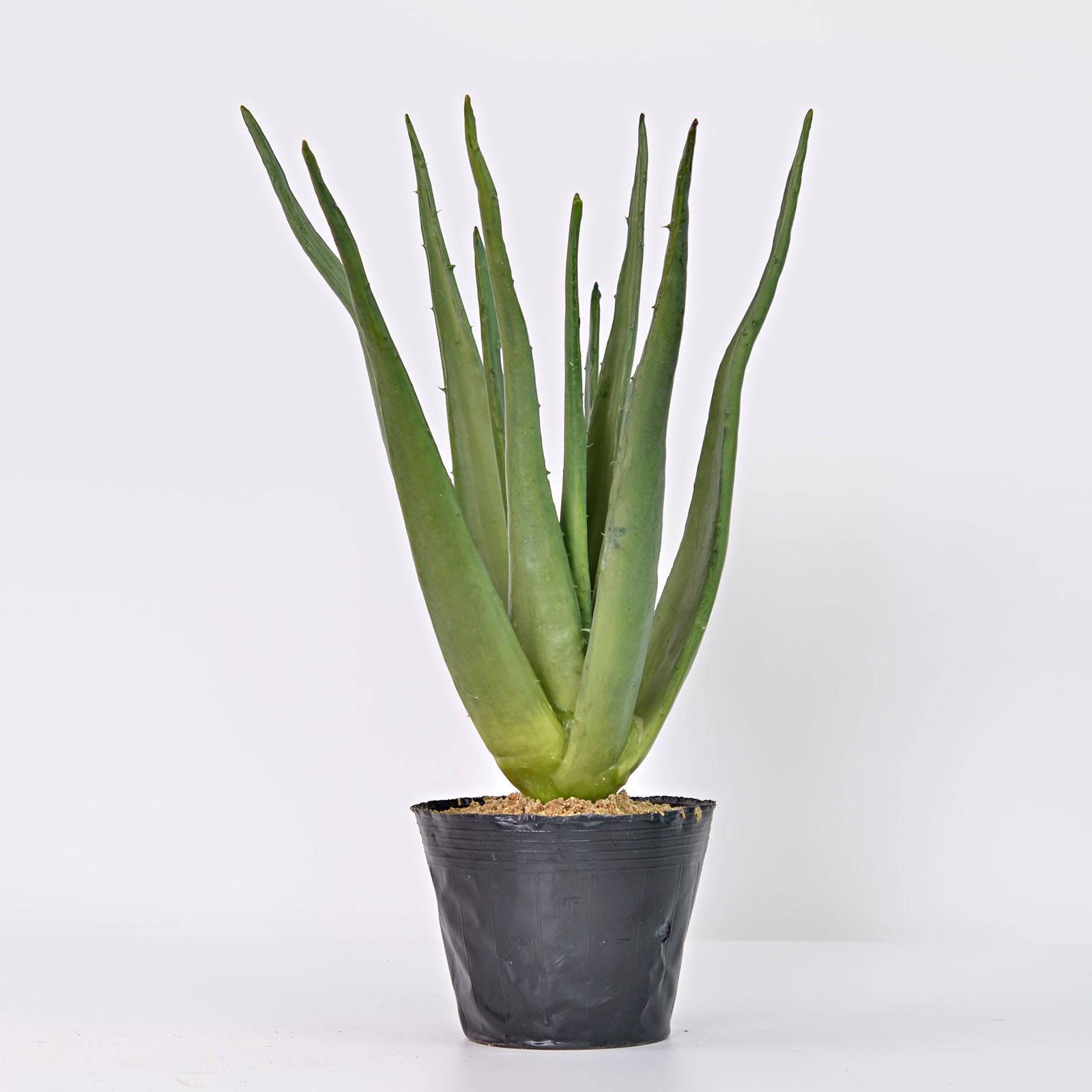 large artificial aloe vera plant Handmade Decorative Artificial Aloe Vera Pr00005A