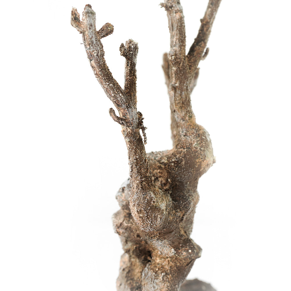 Handmade Decorative Artificial Branches N36020-BJ116 -  Plants - ebarza Furniture UAE | Shop Modern Furniture in Abu Dhabi & Dubai - مفروشات ايبازرا في الامارات | تسوق اثاث عصري وديكورات مميزة في دبي وابوظبي