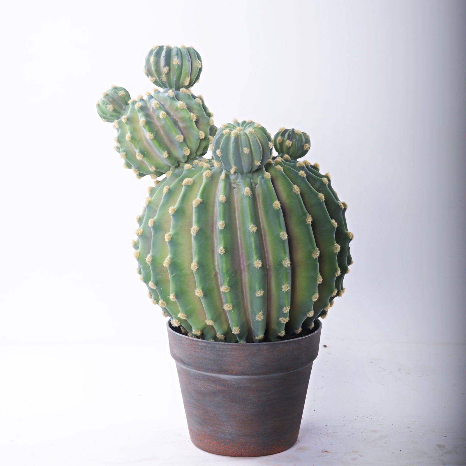 Handmade Decorative Artificial Cactus N35020-Sm097 -  Plants | صبار اصطناعي مزخرف يدويًا - ebarza Furniture UAE | Shop Modern Furniture in Abu Dhabi & Dubai - مفروشات ايبازرا في الامارات | تسوق اثاث عصري وديكورات مميزة في دبي وابوظبي