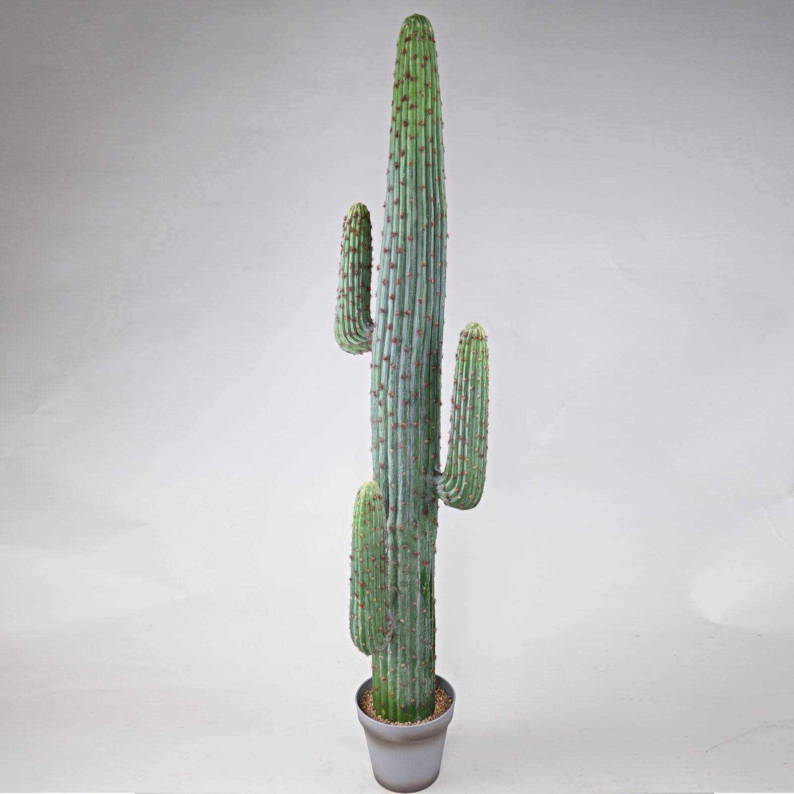 Handmade   Decorative Artificial Cactus Yf16Sp-13631 -  Plants | صبار اصطناعي مزخرف يدويًا - ebarza Furniture UAE | Shop Modern Furniture in Abu Dhabi & Dubai - مفروشات ايبازرا في الامارات | تسوق اثاث عصري وديكورات مميزة في دبي وابوظبي