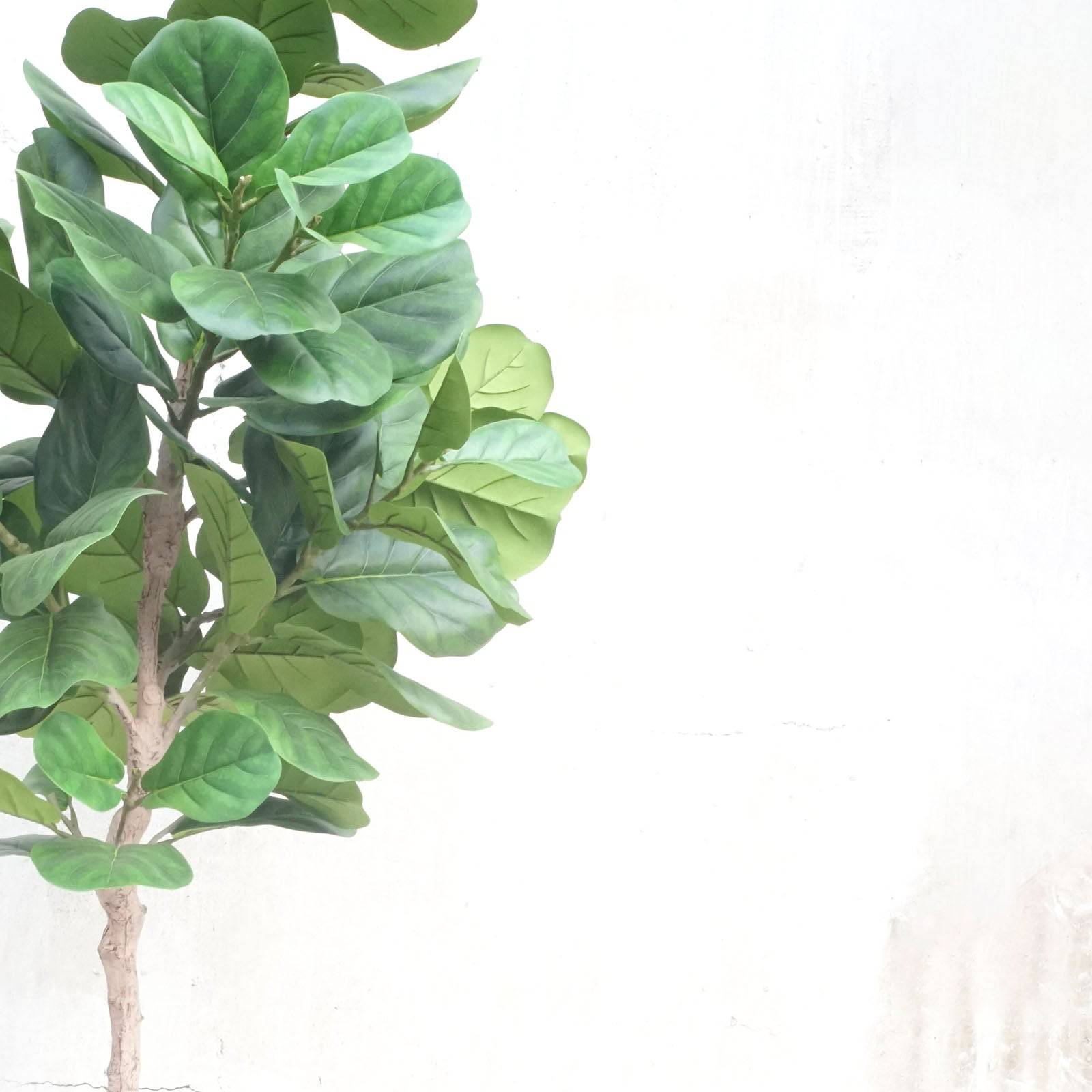 Handmade Decorative Artificial Fiddle Of Fig Tree Fh-04 -  Plants | شجرة صناعية مزخرفة يدويا - ebarza Furniture UAE | Shop Modern Furniture in Abu Dhabi & Dubai - مفروشات ايبازرا في الامارات | تسوق اثاث عصري وديكورات مميزة في دبي وابوظبي