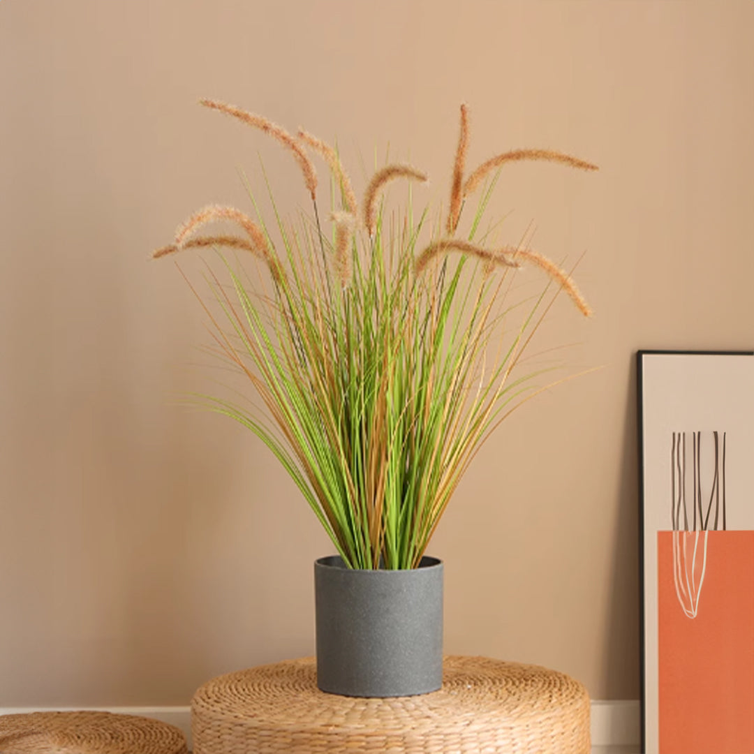 Handmade Decorative Artificial Plant - CF-BEGR-7312 -  Home Accessories - ebarza Furniture UAE | Shop Modern Furniture in Abu Dhabi & Dubai - مفروشات ايبازرا في الامارات | تسوق اثاث عصري وديكورات مميزة في دبي وابوظبي