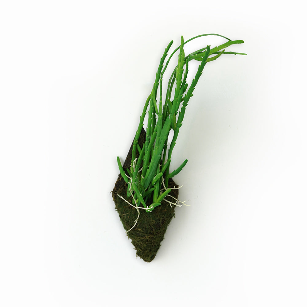 Handmade Decorative Artificial Plant Wall  N36020-XG166 -  Plants - ebarza Furniture UAE | Shop Modern Furniture in Abu Dhabi & Dubai - مفروشات ايبازرا في الامارات | تسوق اثاث عصري وديكورات مميزة في دبي وابوظبي