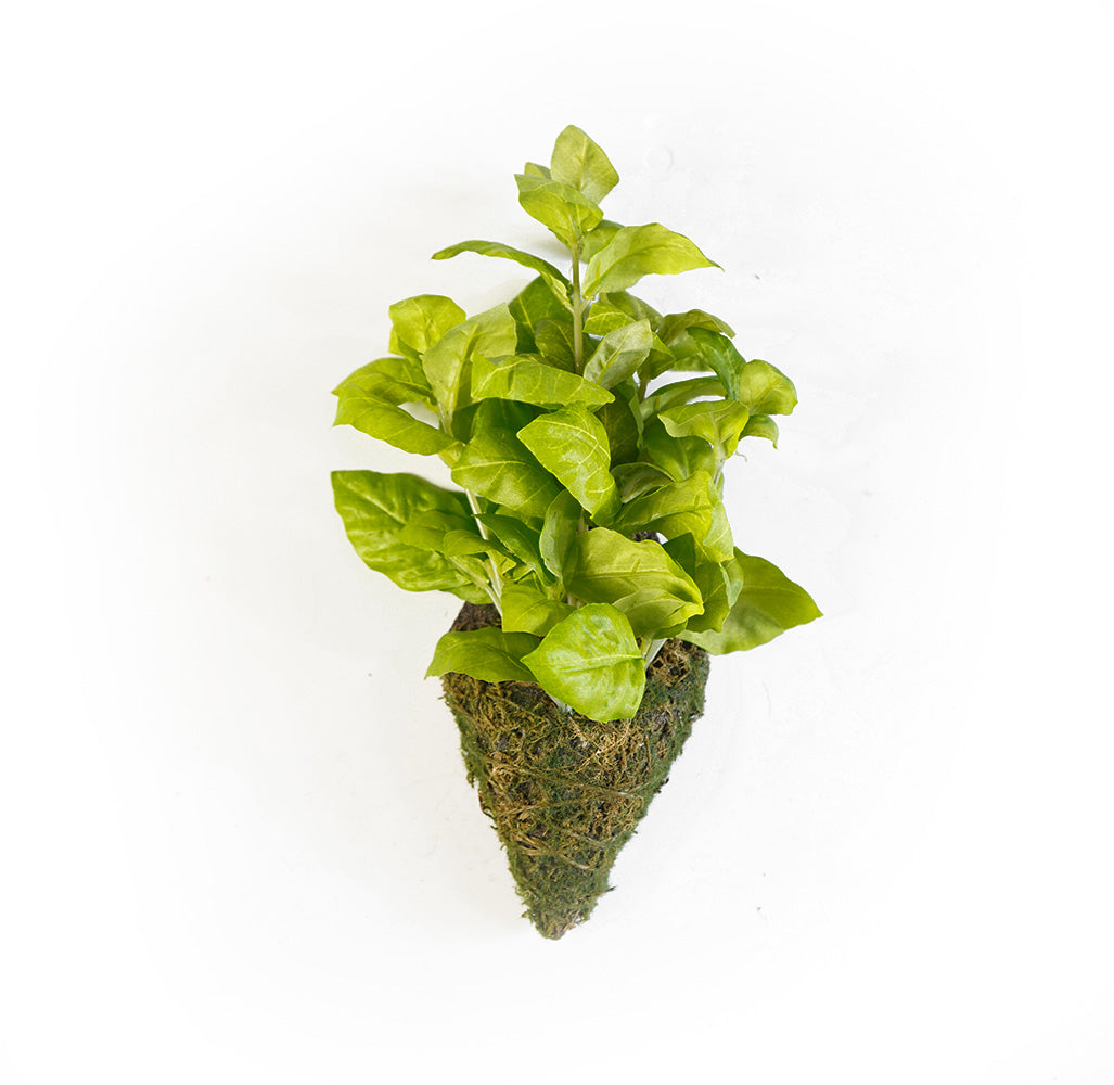 Handmade Decorative Artificial Plant Wall  N36020-XG173 -  Plants - ebarza Furniture UAE | Shop Modern Furniture in Abu Dhabi & Dubai - مفروشات ايبازرا في الامارات | تسوق اثاث عصري وديكورات مميزة في دبي وابوظبي