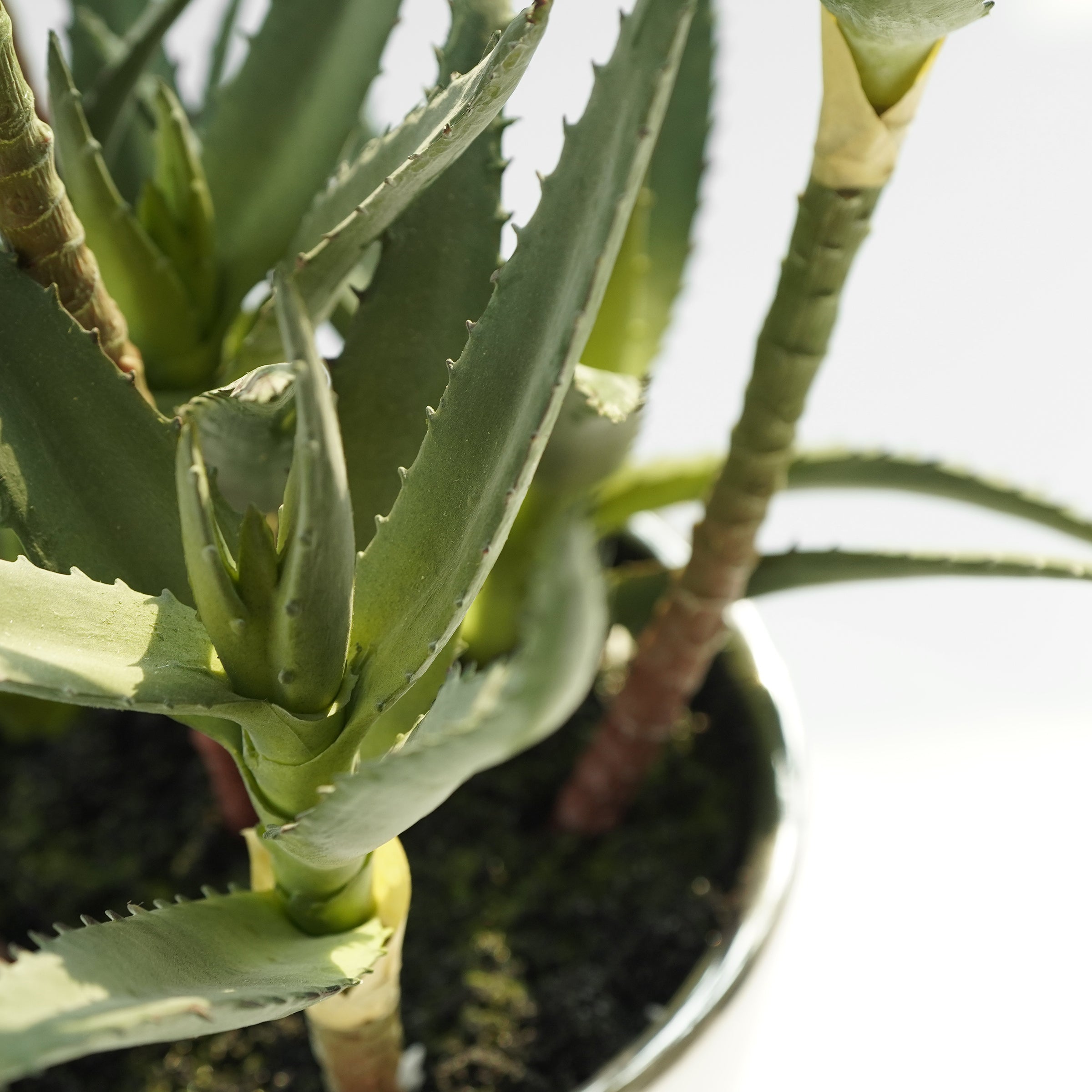 Handmade Decorative Artificial Potted Aloe N35020-PZ171 -  Plants - ebarza Furniture UAE | Shop Modern Furniture in Abu Dhabi & Dubai - مفروشات ايبازرا في الامارات | تسوق اثاث عصري وديكورات مميزة في دبي وابوظبي
