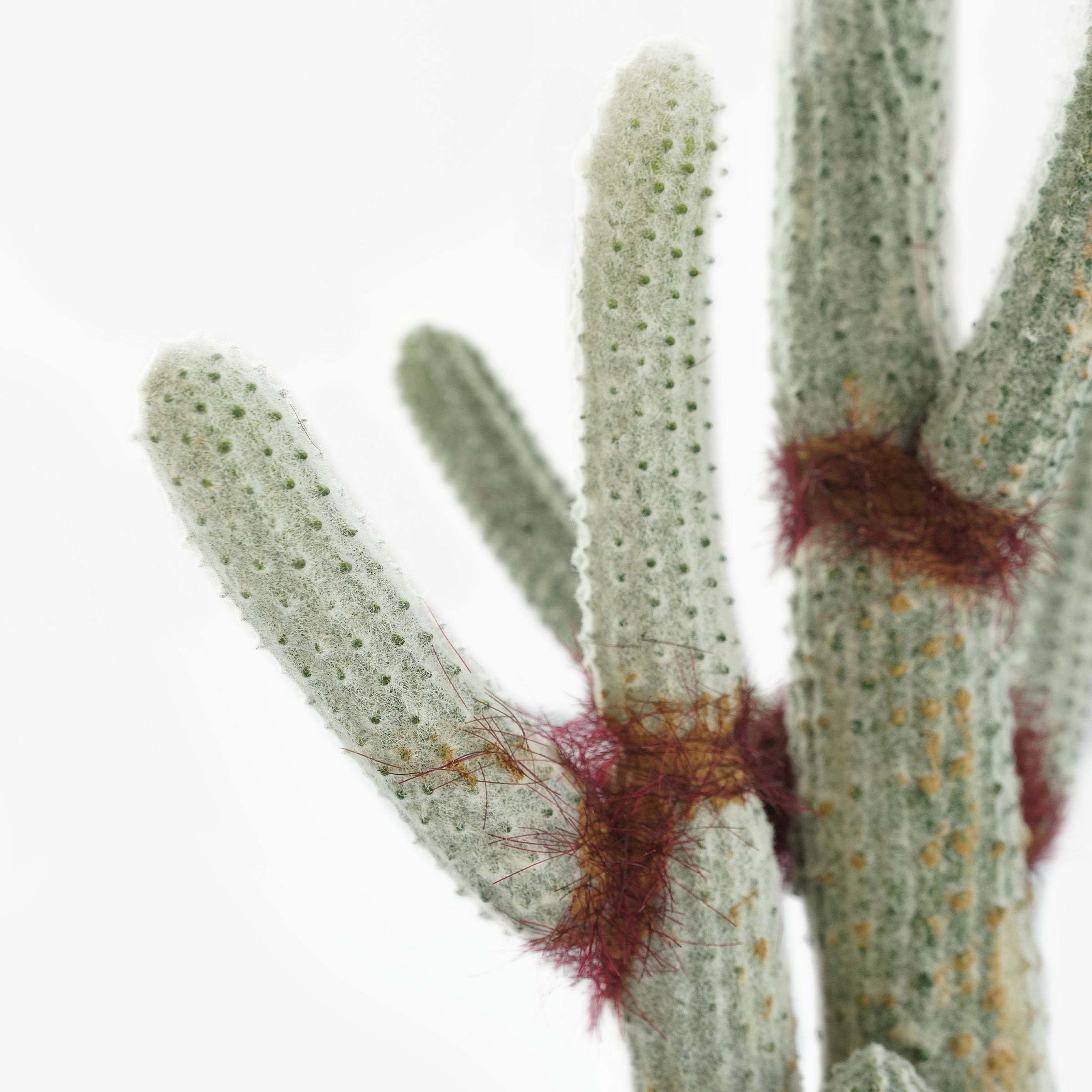 Handmade Decorative Artificial Potted Cactus N35020-SM121 -  Plants - ebarza Furniture UAE | Shop Modern Furniture in Abu Dhabi & Dubai - مفروشات ايبازرا في الامارات | تسوق اثاث عصري وديكورات مميزة في دبي وابوظبي