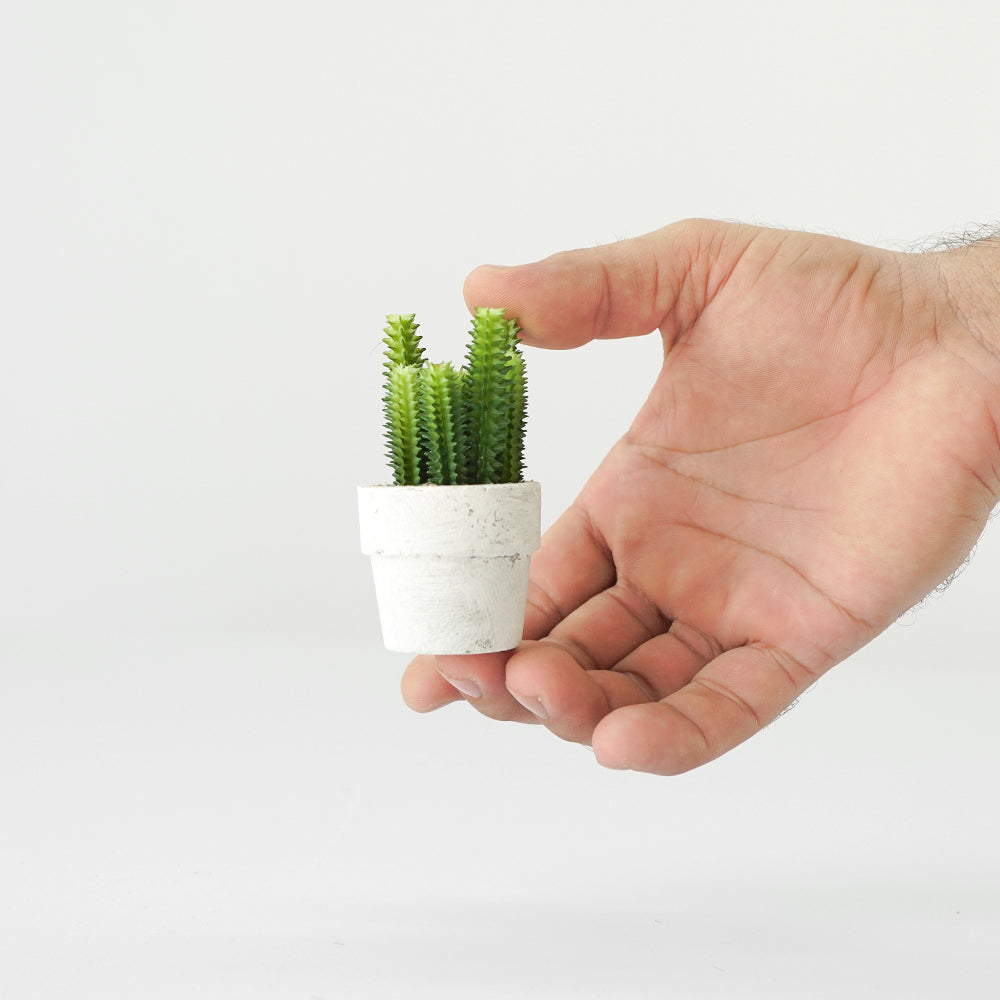 Handmade Decorative Artificial Potted Cactus N35020-SM157 -  Plants - ebarza Furniture UAE | Shop Modern Furniture in Abu Dhabi & Dubai - مفروشات ايبازرا في الامارات | تسوق اثاث عصري وديكورات مميزة في دبي وابوظبي