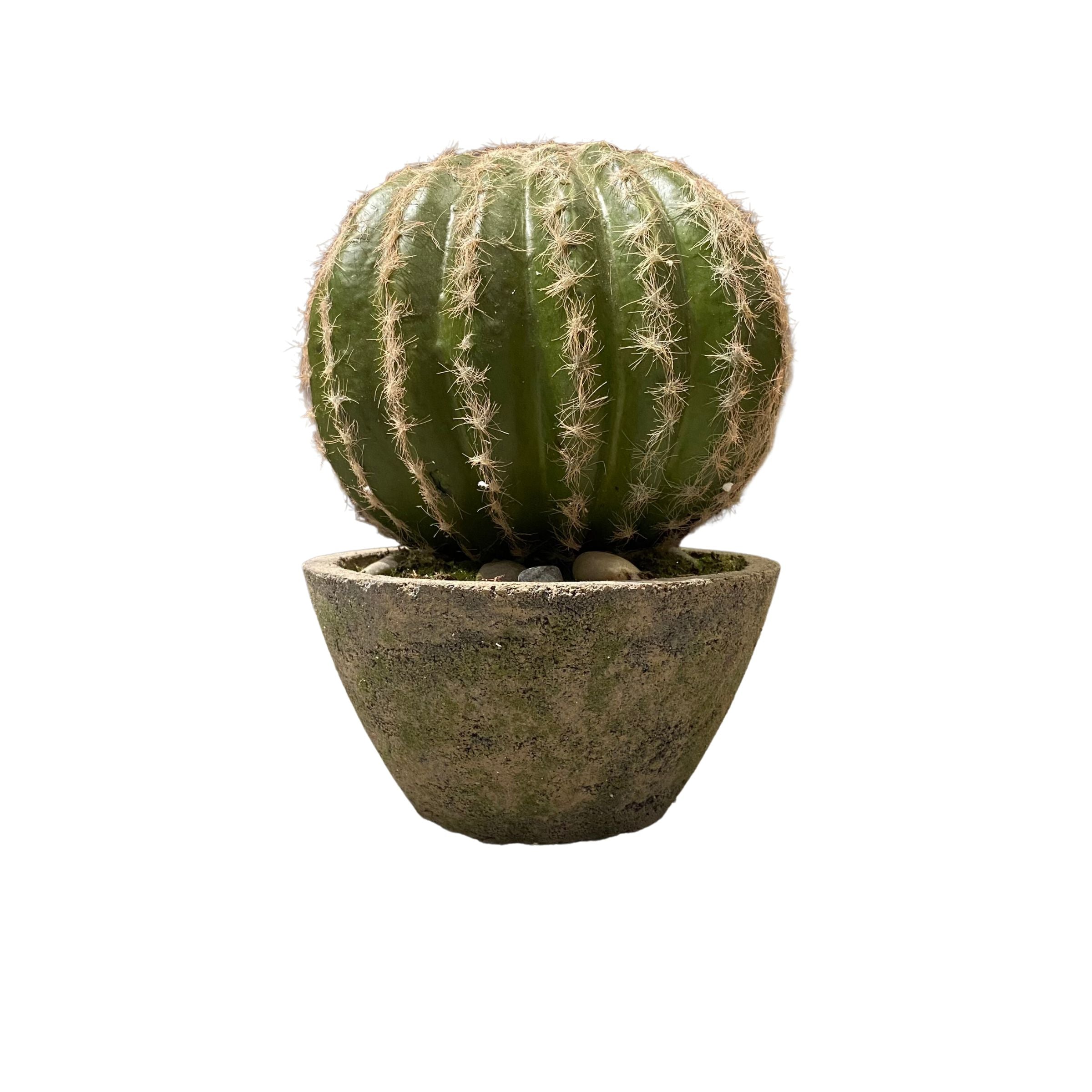 Handmade Decorative Artificial Potted Cactus N36520-PZ031 -  Plants - ebarza Furniture UAE | Shop Modern Furniture in Abu Dhabi & Dubai - مفروشات ايبازرا في الامارات | تسوق اثاث عصري وديكورات مميزة في دبي وابوظبي