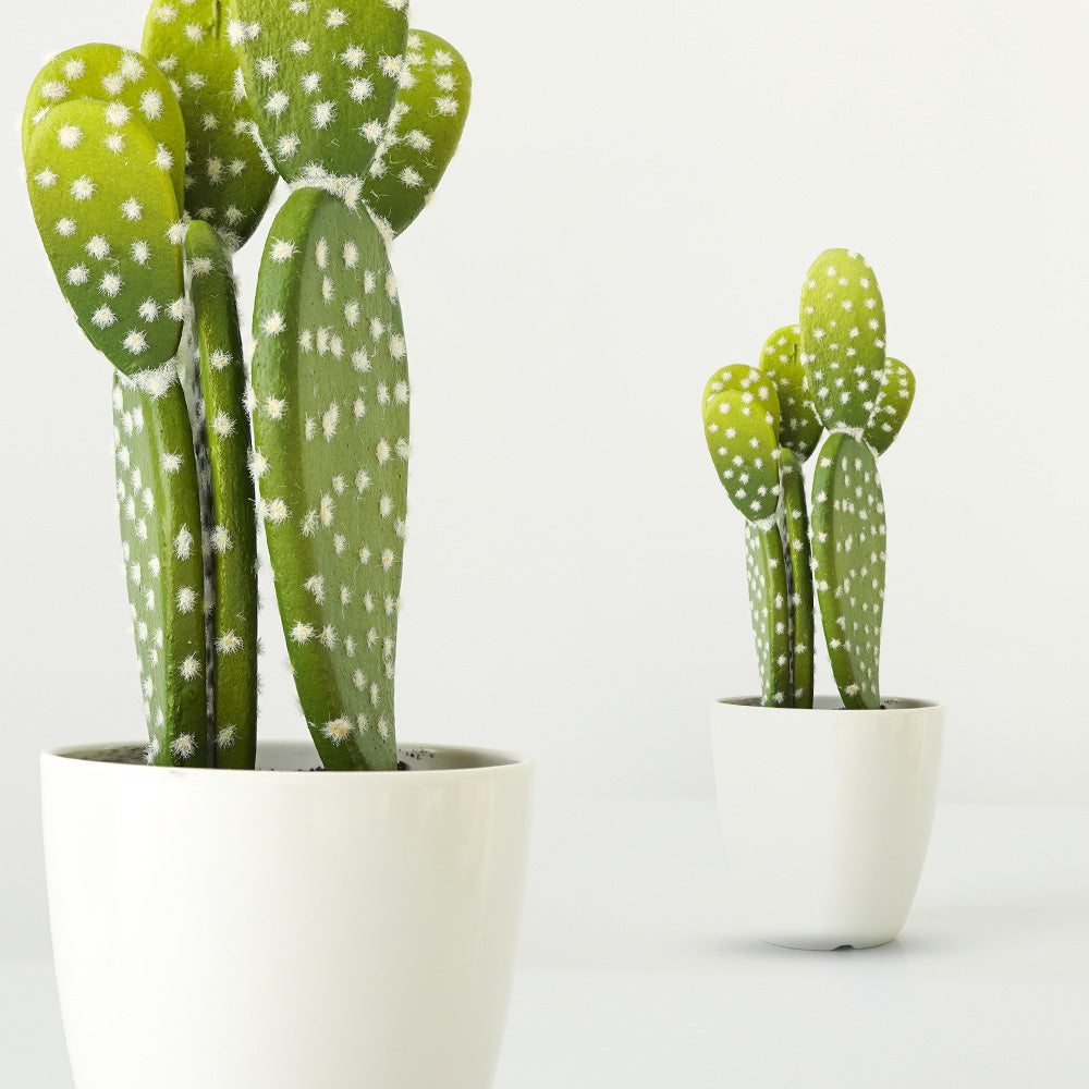 Handmade Decorative Artificial Potted Cactus N38120-PZ003 -  Plants - ebarza Furniture UAE | Shop Modern Furniture in Abu Dhabi & Dubai - مفروشات ايبازرا في الامارات | تسوق اثاث عصري وديكورات مميزة في دبي وابوظبي