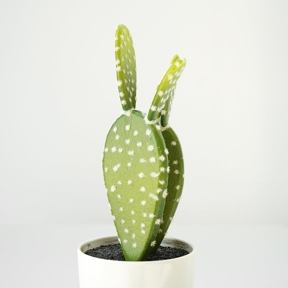 Handmade Decorative Artificial Potted Cactus N38120-PZ003 -  Plants - ebarza Furniture UAE | Shop Modern Furniture in Abu Dhabi & Dubai - مفروشات ايبازرا في الامارات | تسوق اثاث عصري وديكورات مميزة في دبي وابوظبي