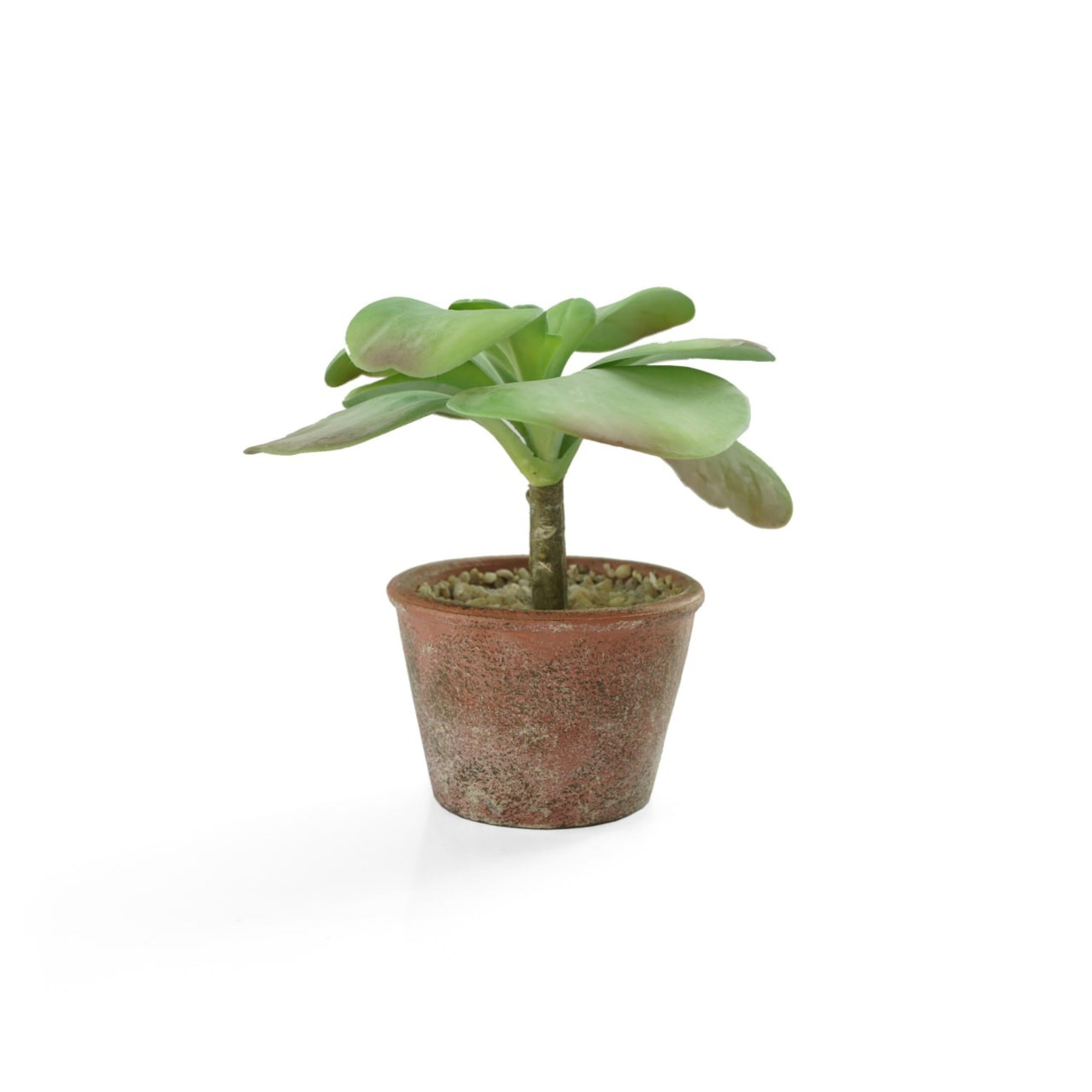 Handmade Decorative Artificial Potted Plants  N35020-PZ126 -  Plants - ebarza Furniture UAE | Shop Modern Furniture in Abu Dhabi & Dubai - مفروشات ايبازرا في الامارات | تسوق اثاث عصري وديكورات مميزة في دبي وابوظبي