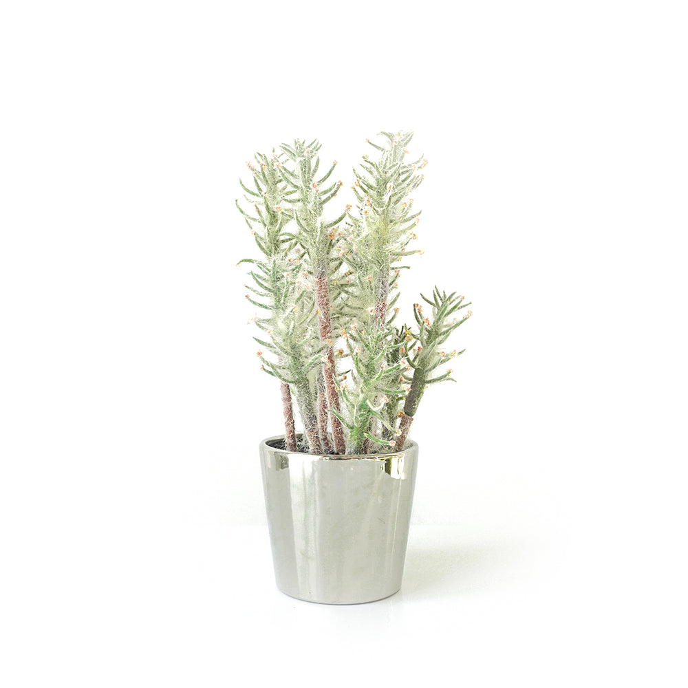 Handmade Decorative Artificial Potted Plants N35020-PZ170 -  Plants - ebarza Furniture UAE | Shop Modern Furniture in Abu Dhabi & Dubai - مفروشات ايبازرا في الامارات | تسوق اثاث عصري وديكورات مميزة في دبي وابوظبي