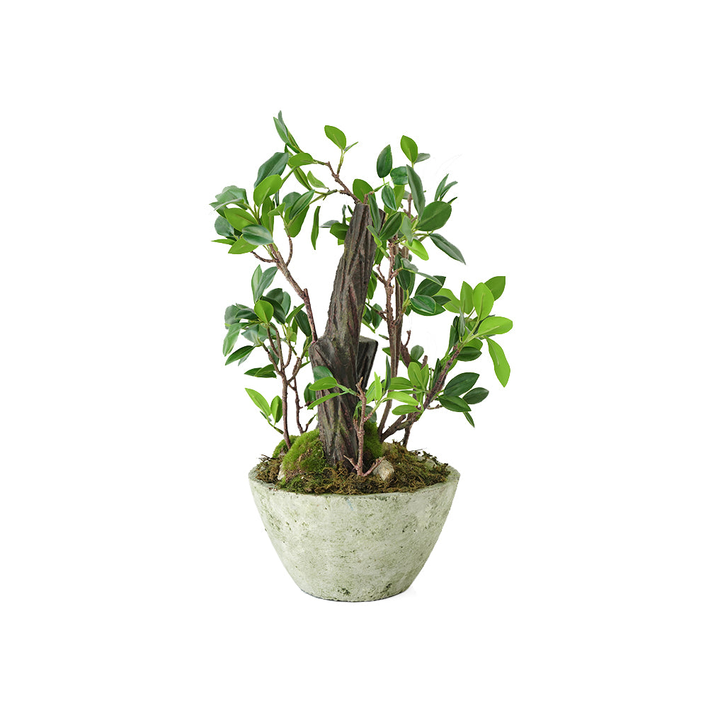 Handmade Decorative Artificial Potted Plants N36520-PZ028 -  Plants - ebarza Furniture UAE | Shop Modern Furniture in Abu Dhabi & Dubai - مفروشات ايبازرا في الامارات | تسوق اثاث عصري وديكورات مميزة في دبي وابوظبي