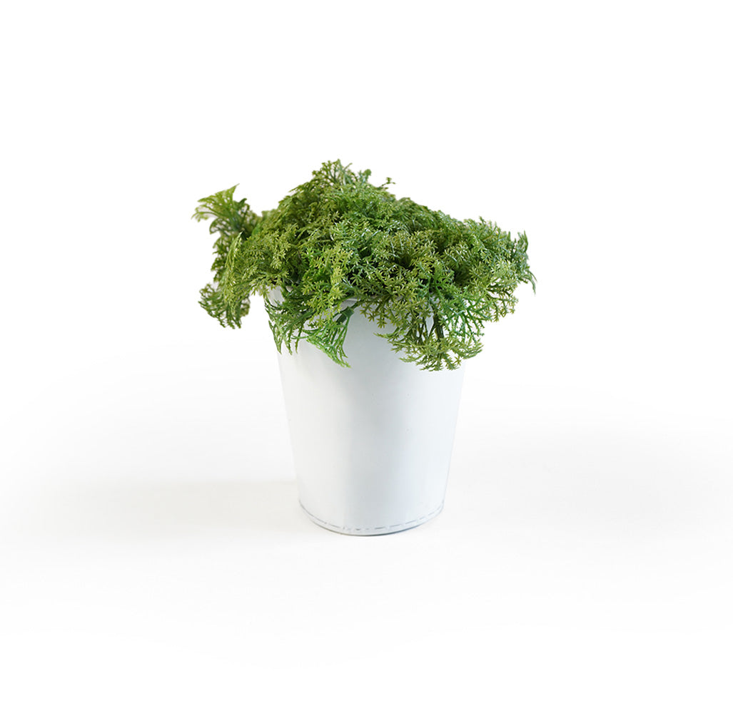 Handmade Decorative Artificial Potted Plants With Grass N39120-PZ009 -  Plants - ebarza Furniture UAE | Shop Modern Furniture in Abu Dhabi & Dubai - مفروشات ايبازرا في الامارات | تسوق اثاث عصري وديكورات مميزة في دبي وابوظبي