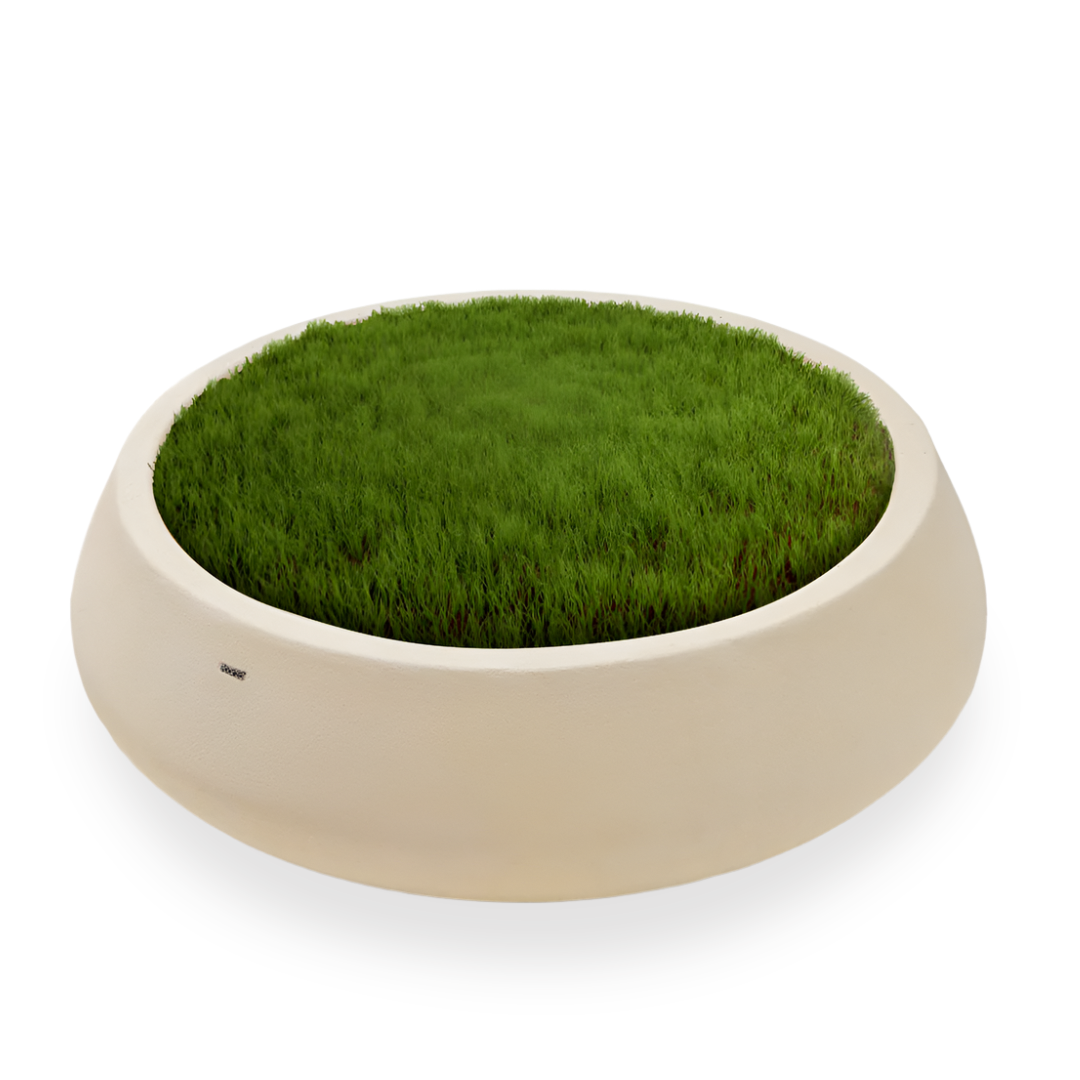 Beige BEACON indoor/outdoor plant pot XK-0001 in a planter box, showing a simple, stylish container for indoor or outdoor plants.