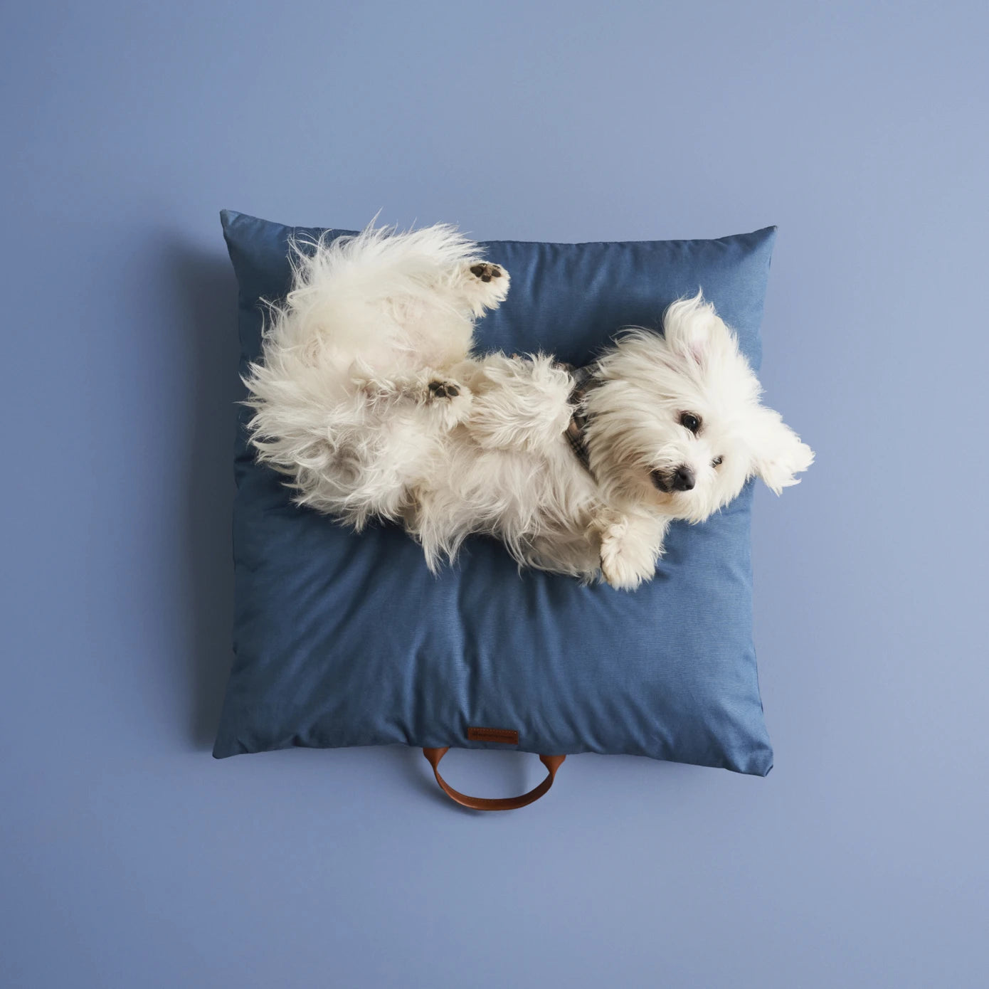 Karaca Home Marley Indigo Square Cushion 200.22.11.0137 -  Cushions - ebarza Furniture UAE | Shop Modern Furniture in Abu Dhabi & Dubai - مفروشات ايبازرا في الامارات | تسوق اثاث عصري وديكورات مميزة في دبي وابوظبي