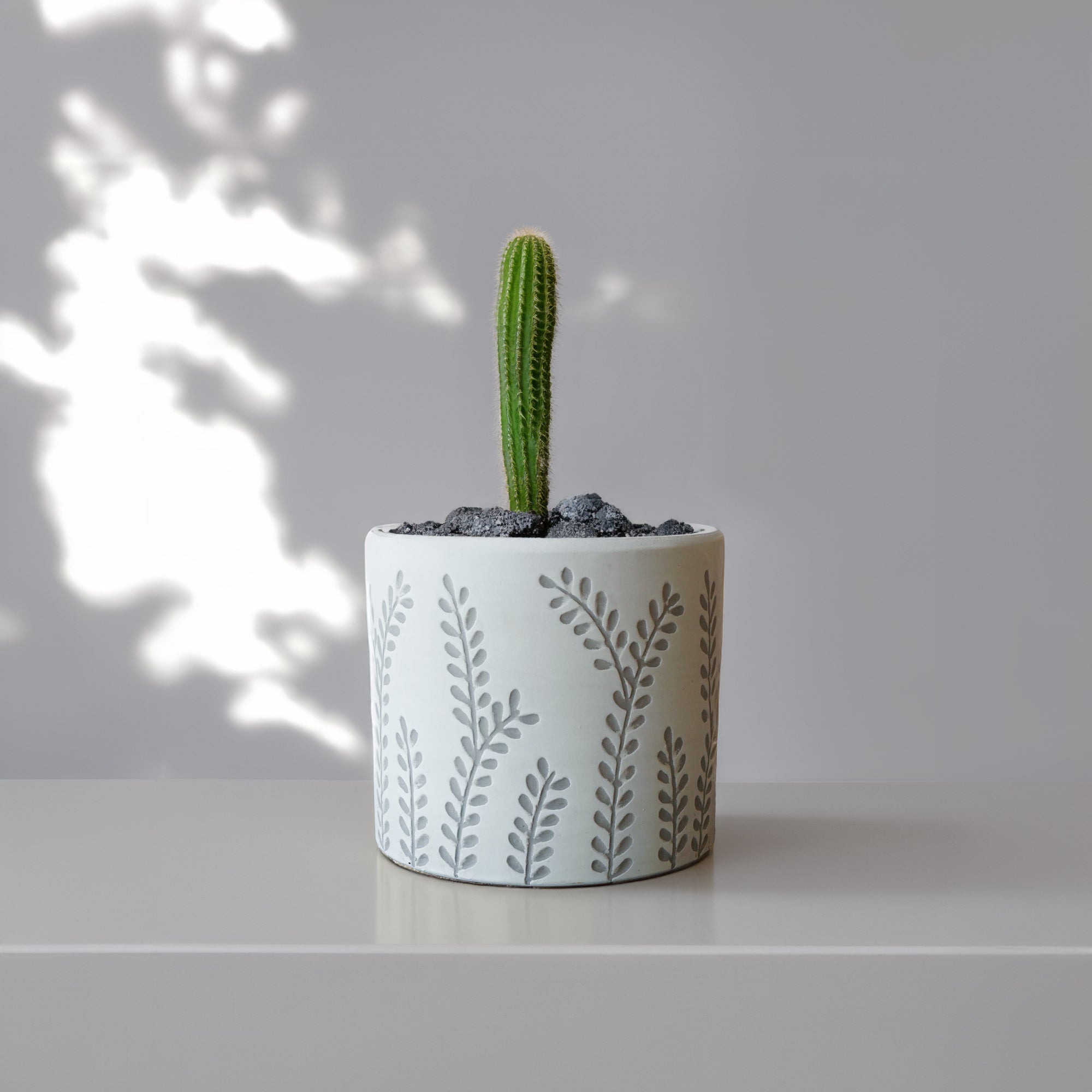 Outdoor and indoor leafy branch planter box by BEACON, made of durable material, perfect for garden or porch decoration.