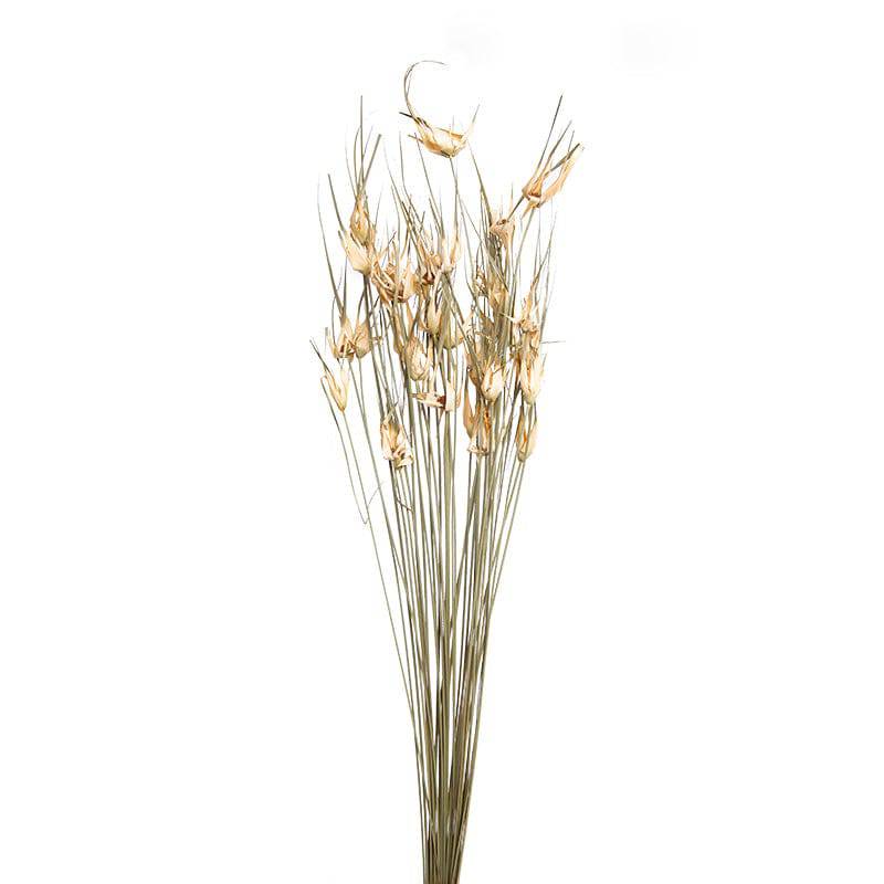 Buy Natural Dried Flower Decoration A FaJh2005A ebarza Modern