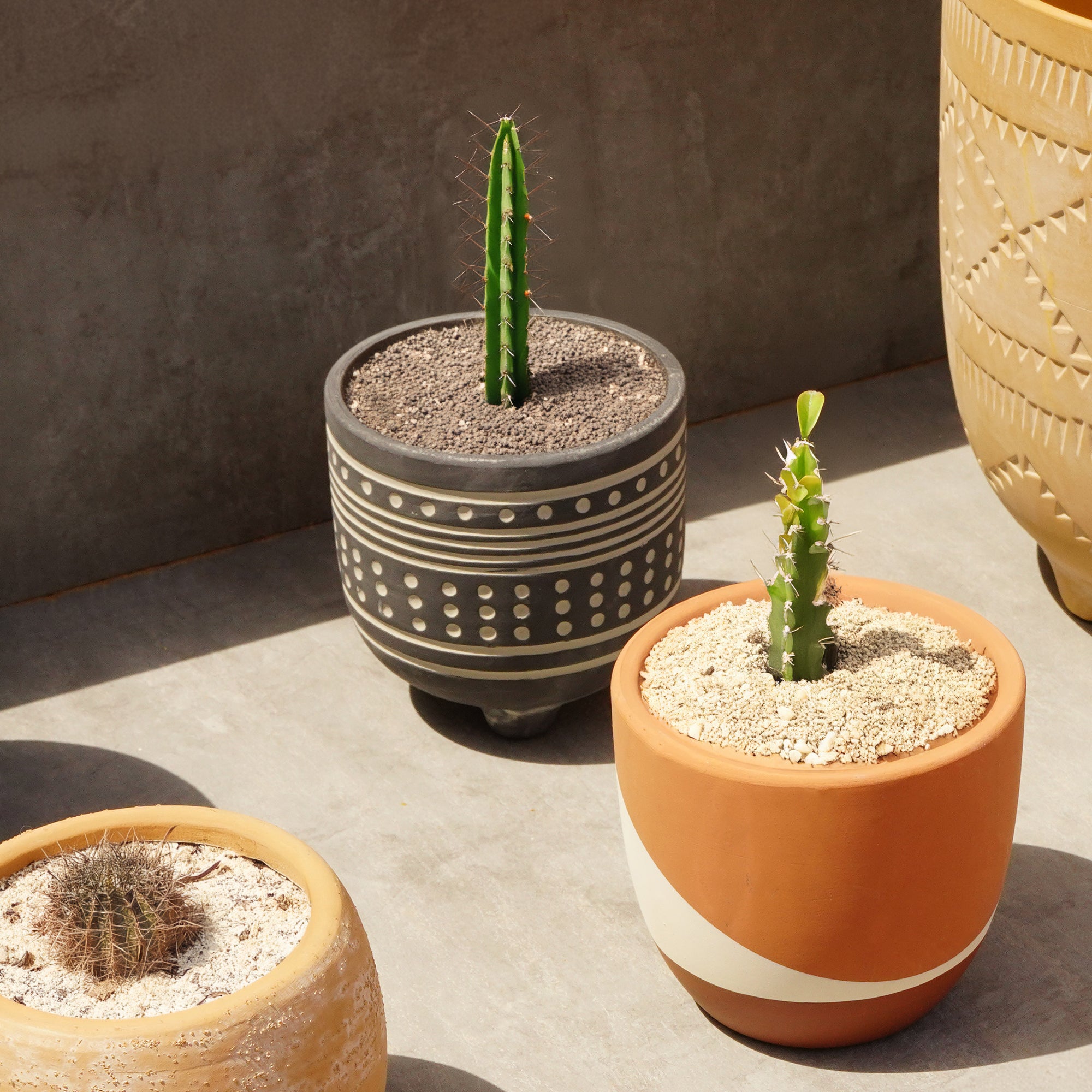 Polka Dot Outdoor/Indoor Planter Box ATBK  8072G-188 -  Planter Boxes - ebarza Furniture UAE | Shop Modern Furniture in Abu Dhabi & Dubai - مفروشات ايبازرا في الامارات | تسوق اثاث عصري وديكورات مميزة في دبي وابوظبي