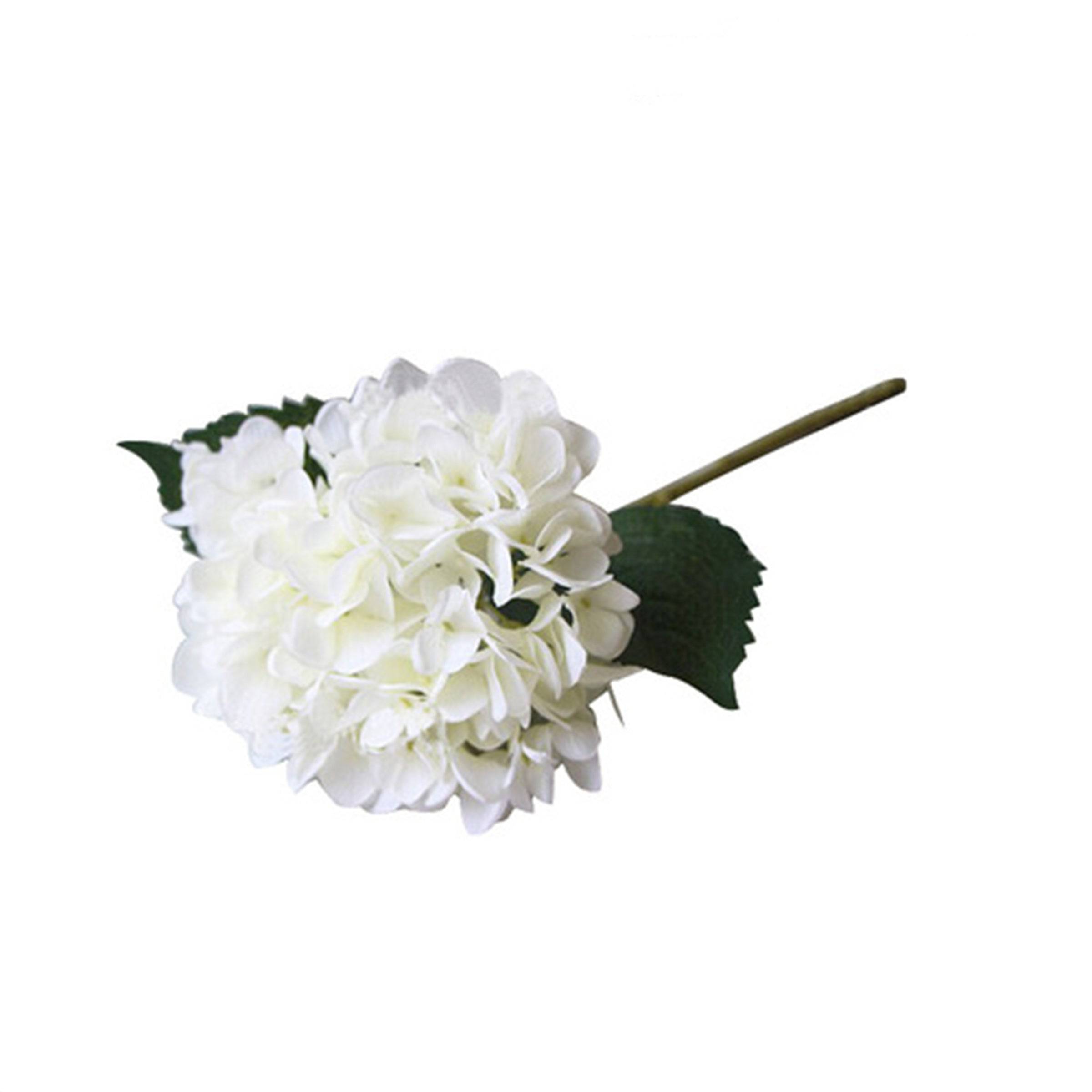Real Touch Hydrangea Stem - White Fl-Jh187 -  Plants | جذع الكوبية من ريل تاتش - أبيض - ebarza Furniture UAE | Shop Modern Furniture in Abu Dhabi & Dubai - مفروشات ايبازرا في الامارات | تسوق اثاث عصري وديكورات مميزة في دبي وابوظبي