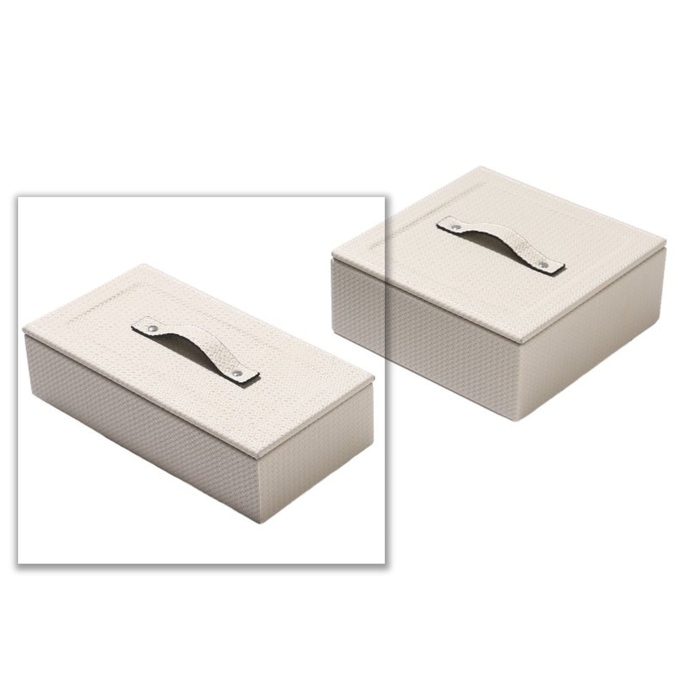 RECTANGULAR DECORATIVE BOX DD210920A -  Decorative Boxes - ebarza Furniture UAE | Shop Modern Furniture in Abu Dhabi & Dubai - مفروشات ايبازرا في الامارات | تسوق اثاث عصري وديكورات مميزة في دبي وابوظبي