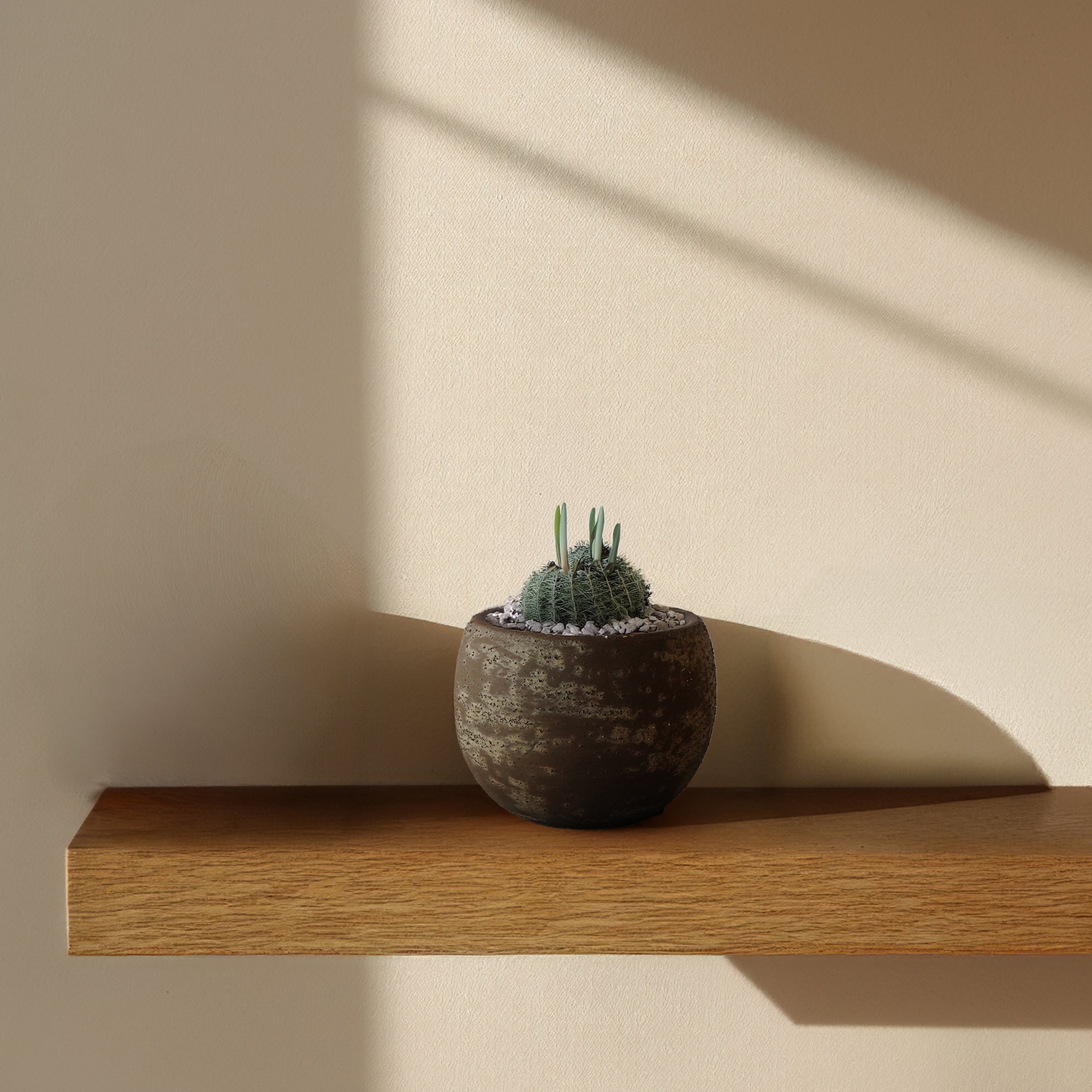 Rocky Ridge outdoor and indoor planter box by BEACON, durable container for plants and flowers, in natural finish.