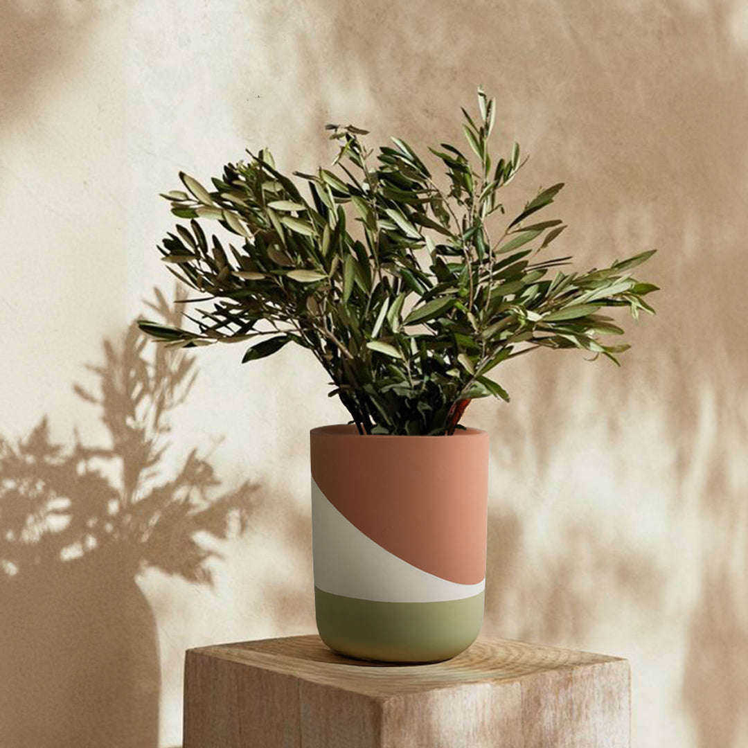 Terracotta Dream outdoor/indoor planter box by BEACON, featuring a rustic terracotta finish and spacious design for plants.