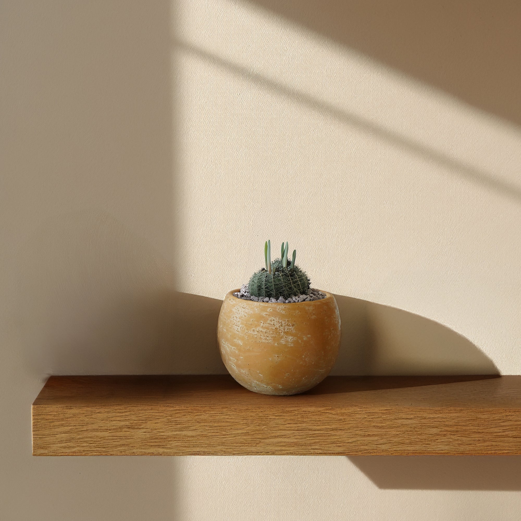 Terracotta Groove outdoor and indoor planter box by BEACON, rectangular with textured groove design, ideal for planting indoors or outdoors.