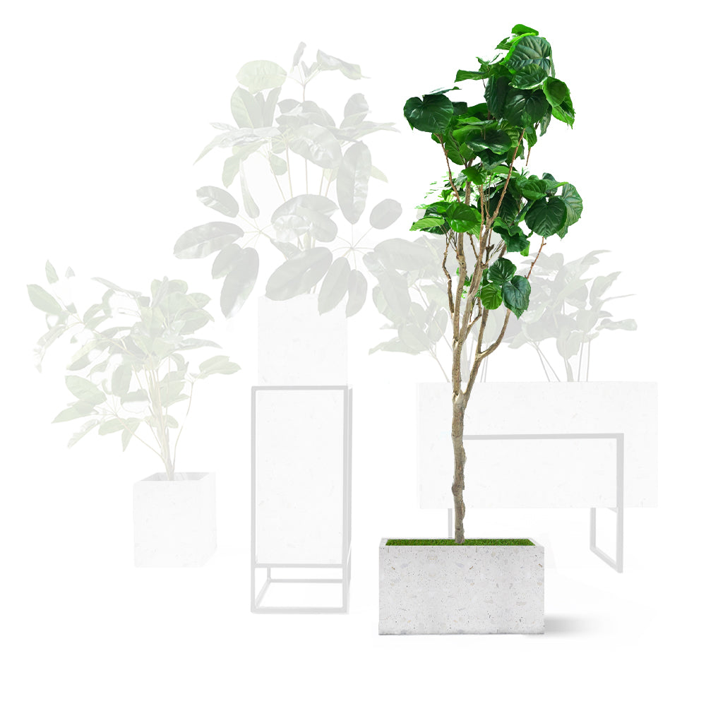 White terrazzo planter box by BEACON, rectangular container with smooth finish, ideal for indoor or outdoor plants.