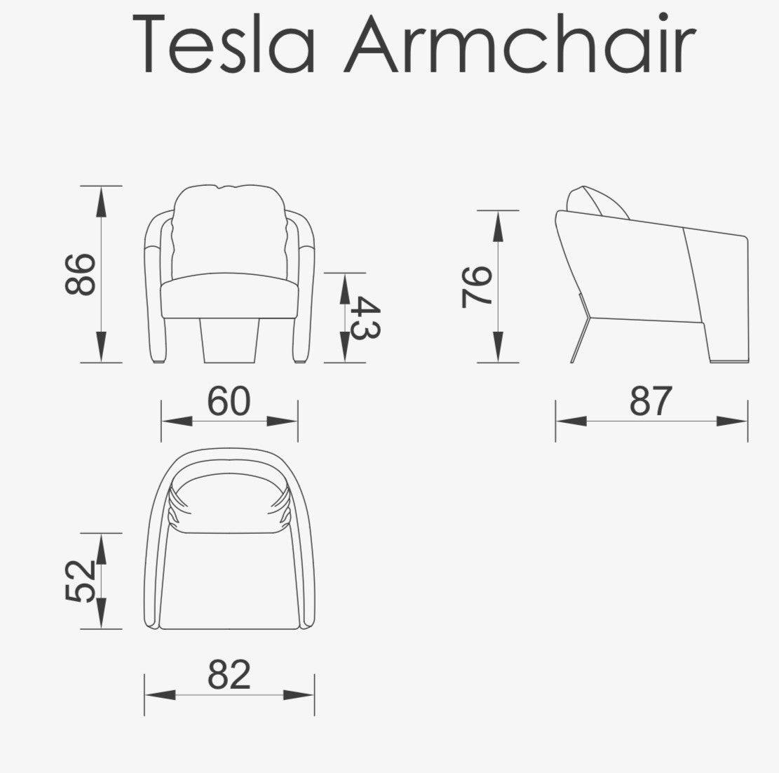 Tesla Armchair Tesla-001 -  Armchairs | كرسي بذراعين تيسلا - ebarza Furniture UAE | Shop Modern Furniture in Abu Dhabi & Dubai - مفروشات ايبازرا في الامارات | تسوق اثاث عصري وديكورات مميزة في دبي وابوظبي