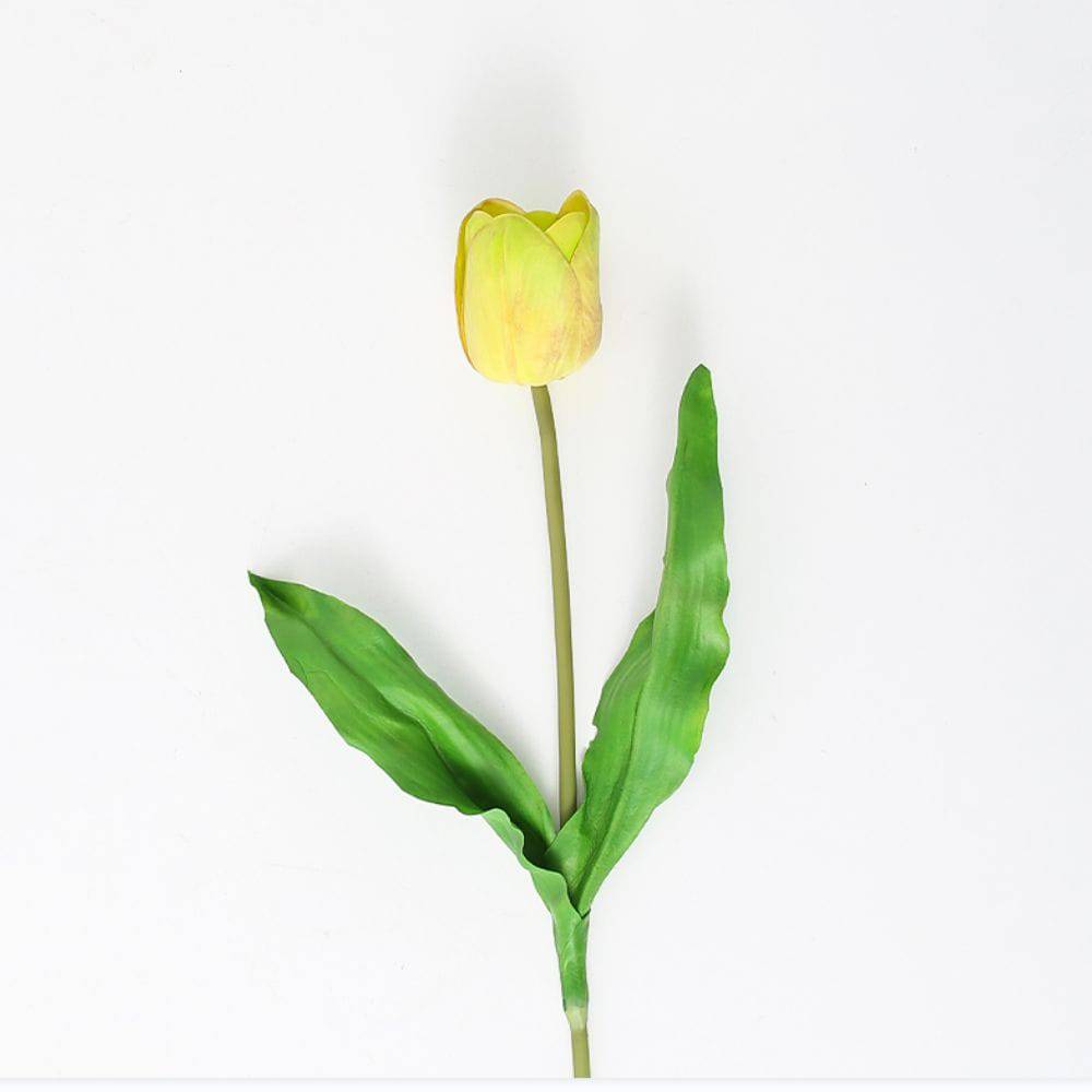 Tulip Flower Fl-Jh120 -  Plants | زهرة التوليب - ebarza Furniture UAE | Shop Modern Furniture in Abu Dhabi & Dubai - مفروشات ايبازرا في الامارات | تسوق اثاث عصري وديكورات مميزة في دبي وابوظبي